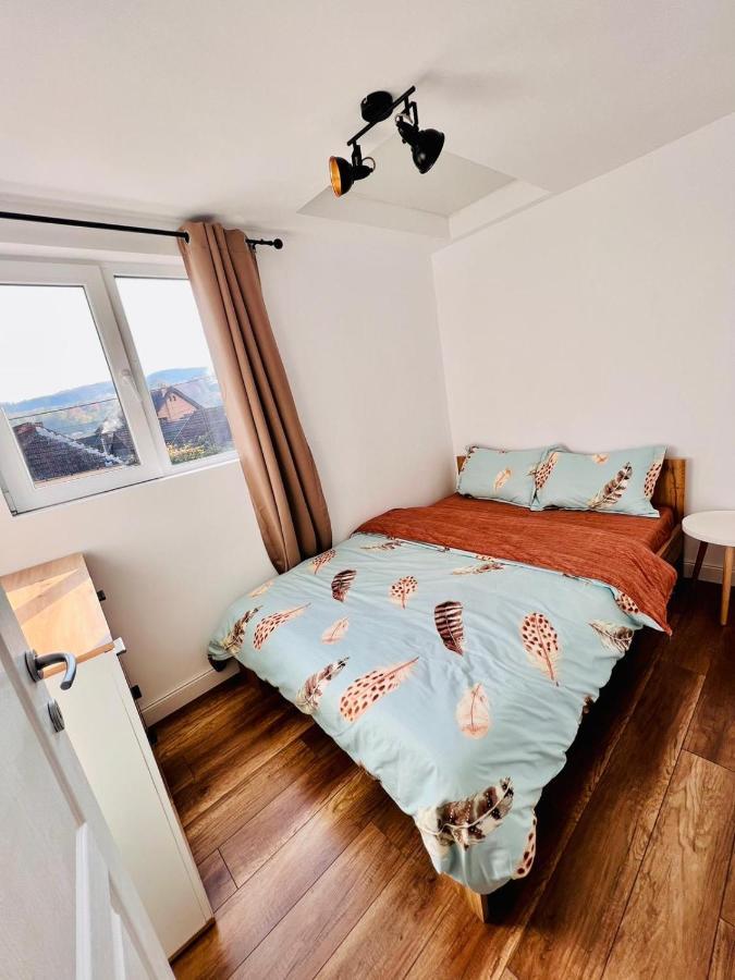 Master Adventure Guest House Vadu Crisului Luaran gambar